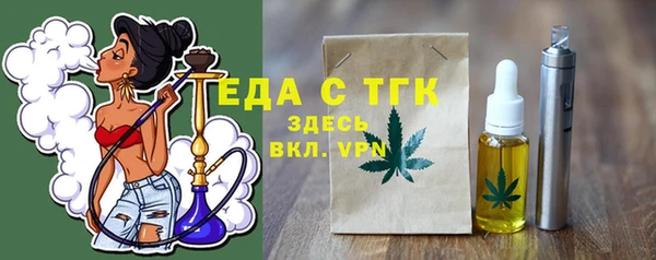 индика Михайлов