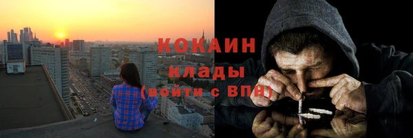 индика Михайлов