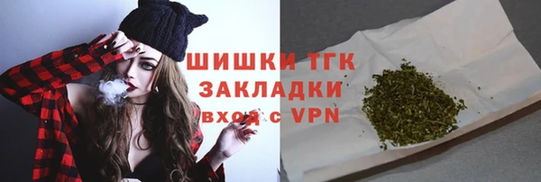 индика Михайлов