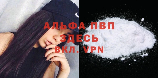 индика Михайлов