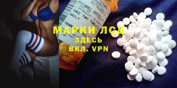 индика Михайлов