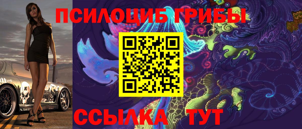 Татарск  Псилоцибиновые грибы мицелий  Галлюциногенные грибы Psilocybe  Вход с VPN 