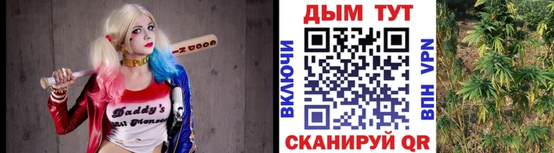 сколько стоит  Татарск  Бошки марихуана сатива 